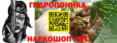 СК Севастополь